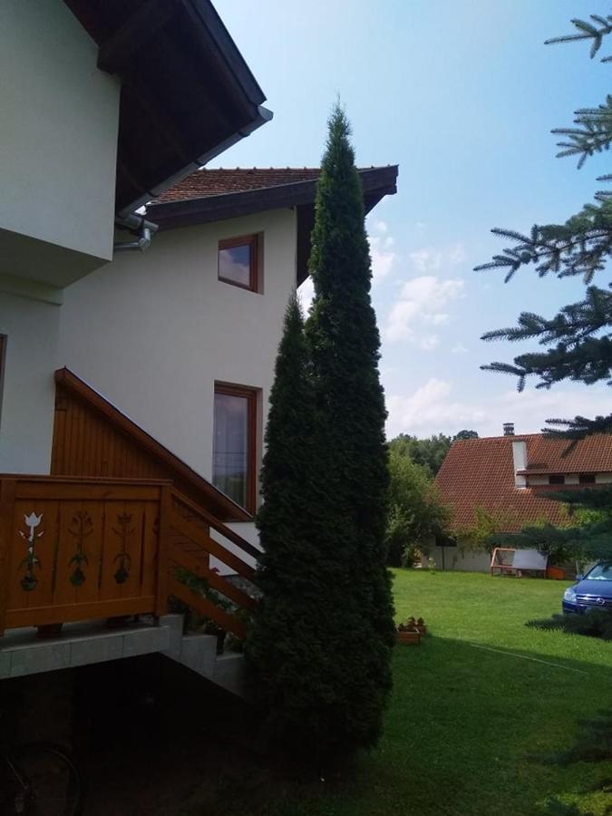 Отель Casa Lacul Mierlei Совата Экстерьер фото