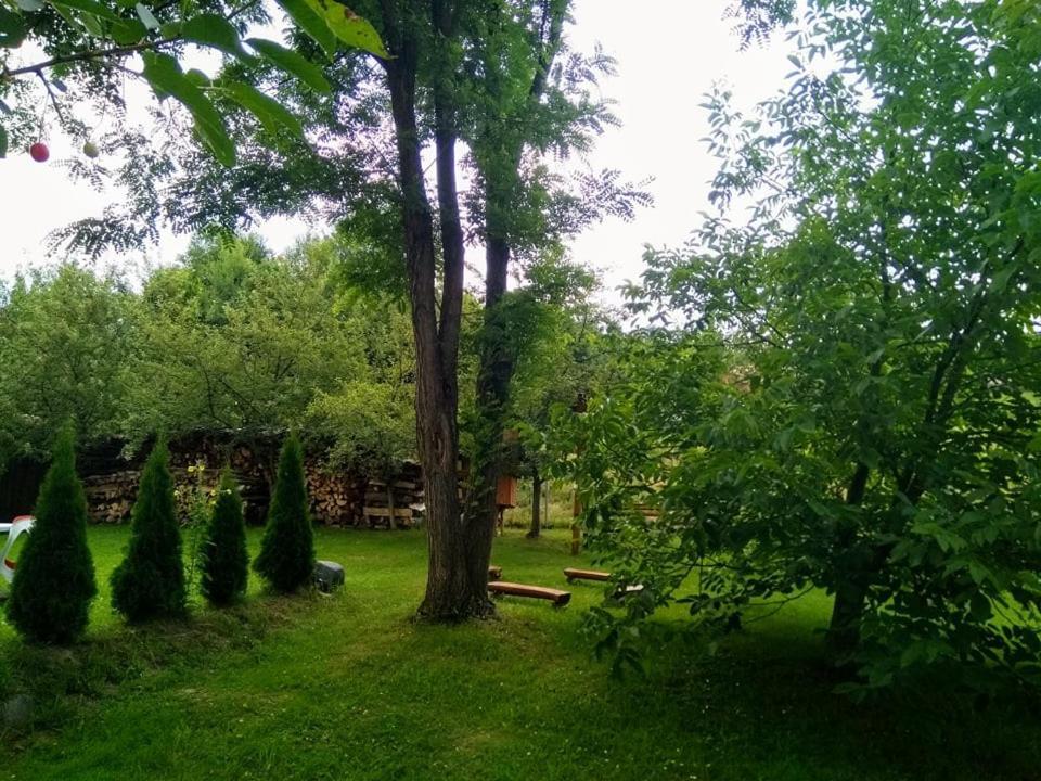 Отель Casa Lacul Mierlei Совата Экстерьер фото